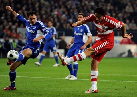 精细版型的 精细版型的