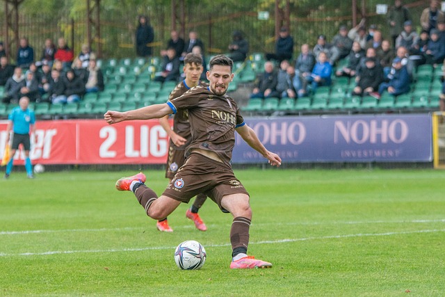 发展起到了 发展起到了