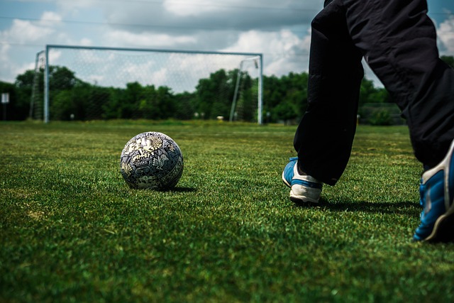 无疑将为他 无疑将为他